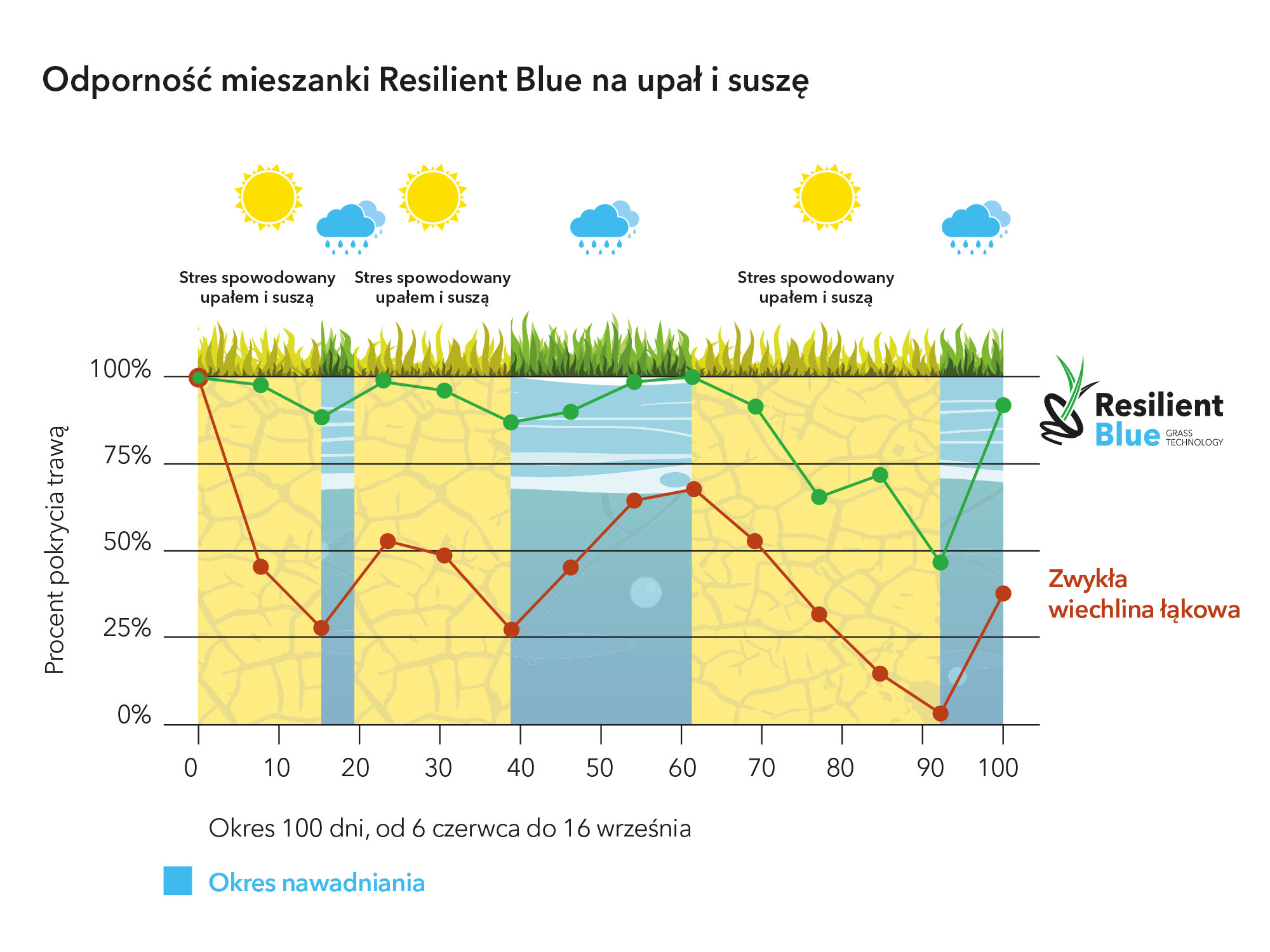 Odporność Resilient Blue na upał i suszę